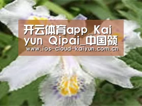 产品名称二