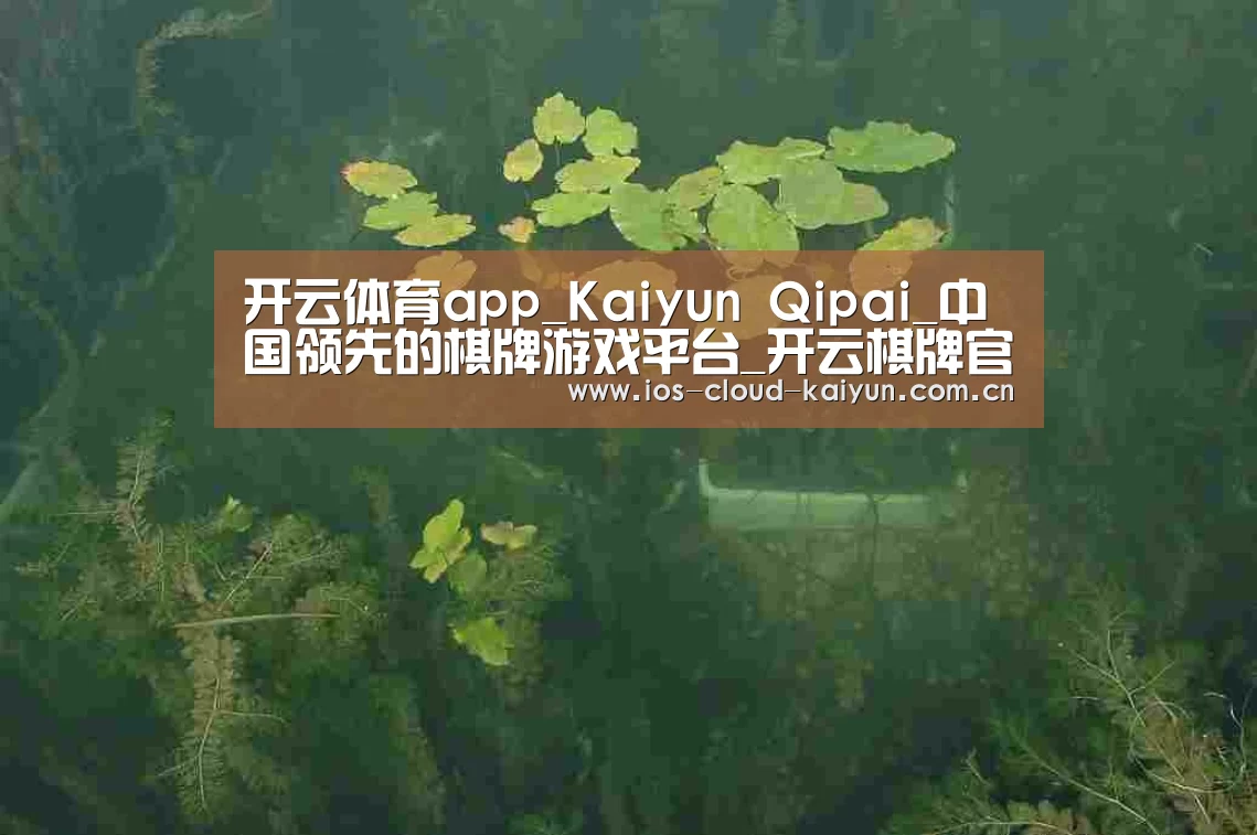 案例展示三