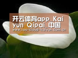 产品名称七