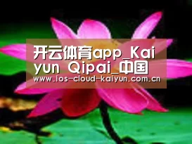 产品名称五