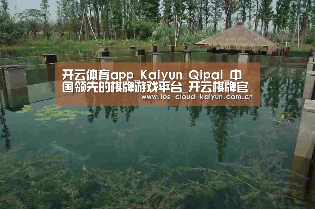 案例展示二