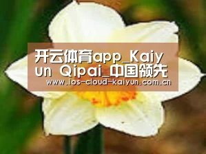 产品名称四