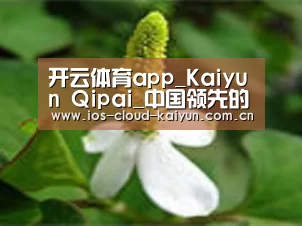 产品名称三