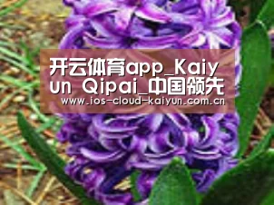 产品名称八