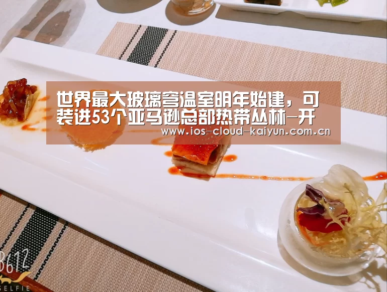 世界最大玻璃穹温室明年始建，可装进53个亚马逊总部热带丛林-开元棋牌app(图1)