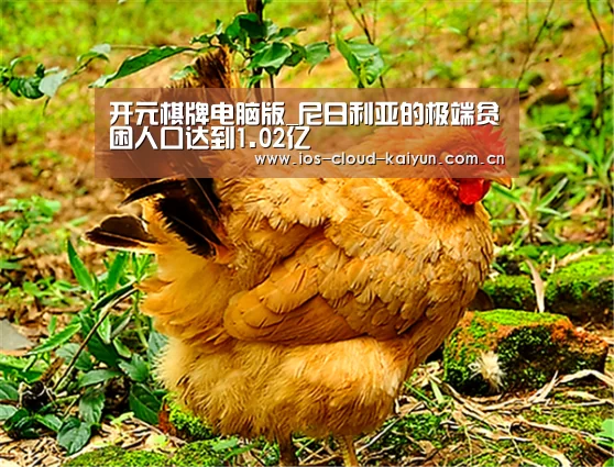 开元棋牌app