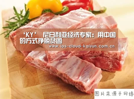 ‘KY’
尼日利亚经济专家:用中国的方式挣脱贫困(图3) 开元棋牌下载