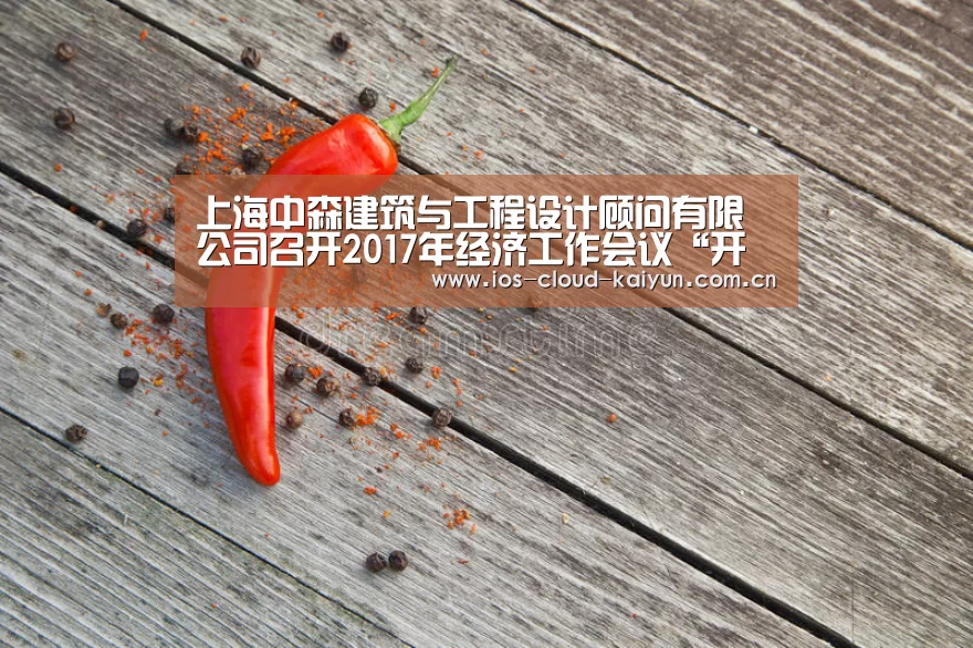 上海中森建筑与工程设计顾问有限公司召开2017年经济工作会议“开元棋牌下载”(图1)