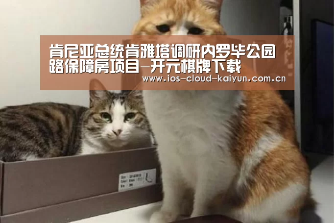 肯尼亚总统肯雅塔调研内罗毕公园路保障房项目-开元棋牌下载(图3)