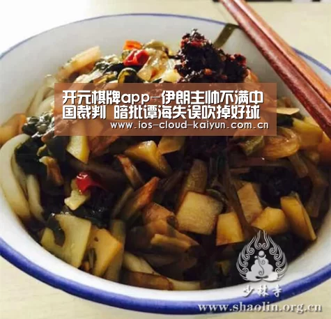 开元棋牌app-伊朗主帅不满中国裁判 暗批谭海失误吹掉好球(图1) 开元棋牌app