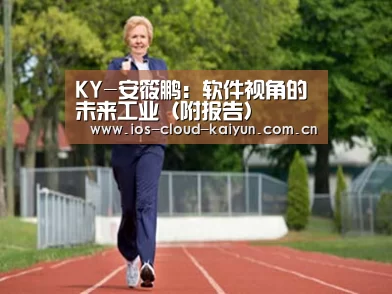 KY-安筱鹏:软件视角的未来工业(附报告)(图3) 开元棋牌电脑版